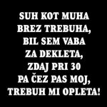 Suh kot muha brez trebuha, majica - slika 2